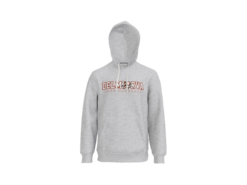 Delmarva Aces Baseball Wordmark Heavyweight Fleece Hoodie - Athletic Heather