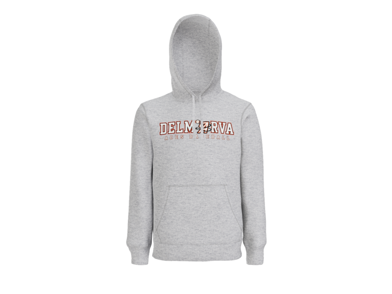 Delmarva Aces Baseball Wordmark Pullover Hoodie - Athletic Heather