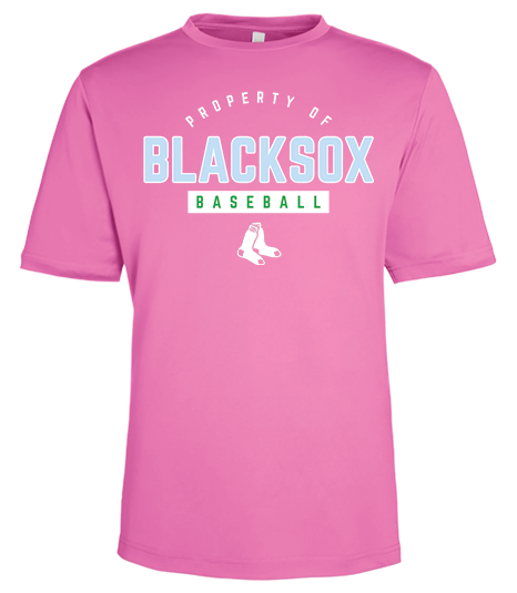 Bigbie’s BlackSox “Property Of” Baseball Unisex Performance Tee