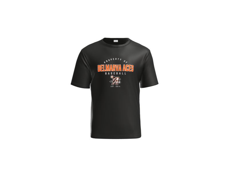 Delmarva Aces Baseball Performance Tee