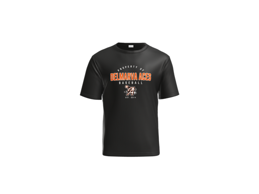 Delmarva Aces Baseball Performance Tee