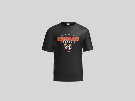 Delmarva Aces Softball Performance Tee